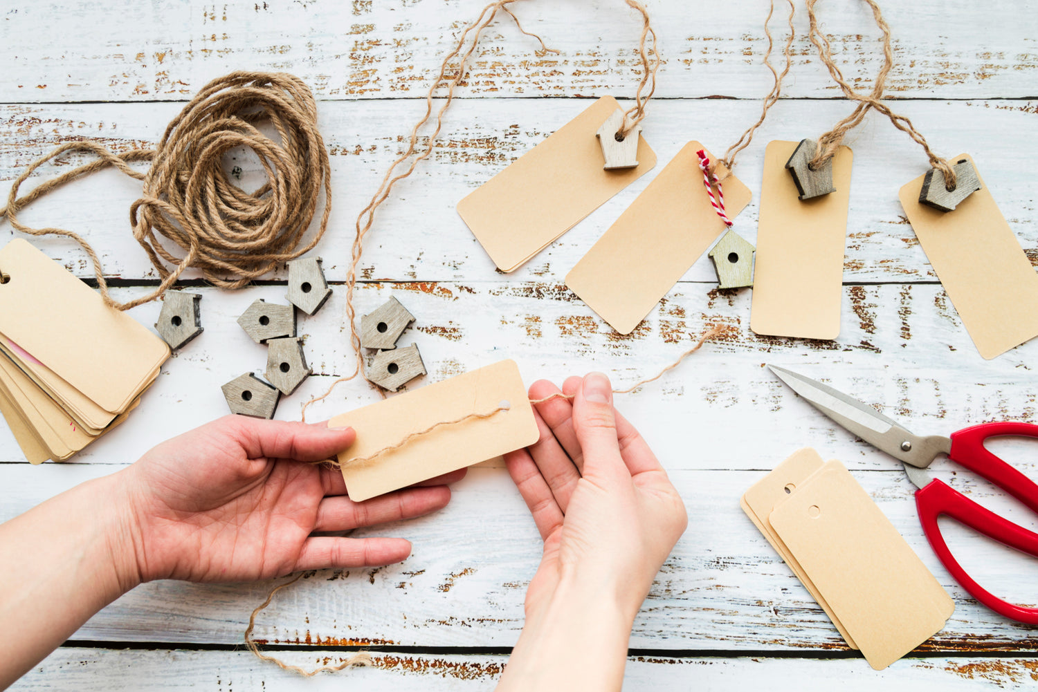 Productos creativos